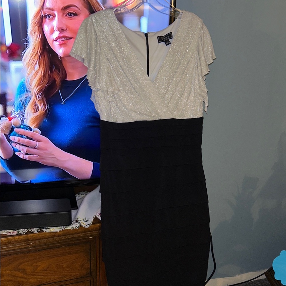 Collection Dressbarn- Size 12 Glittering Silver and Black Dress